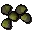 Acorn