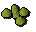 Asgarnian seed