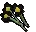 Black flowers