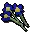 Blue flowers