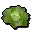 Cabbage