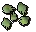 Cactus seed
