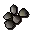 Camphor seed