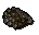Caviar