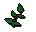 Equa leaves