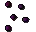Grape seed