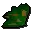 Grimy dwarf weed