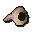 Haddock eye
