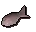 Herring