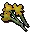 Orange flowers