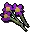 Purple flowers