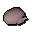 Raw bird meat