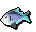 Raw rainbow fish