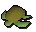 Raw sea turtle