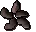 Rosewood seed