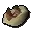 Squid beak