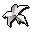 White lily