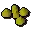 Yanillian seed