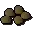 Yew seed